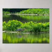 Crawfish Meal Time Poster (Voorkant)