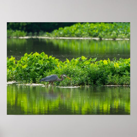 Crawfish Meal Time Poster (Voorkant)