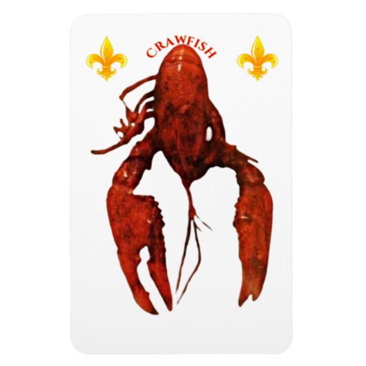 Crawfish Photo Magnet Magneet (Verticaal)
