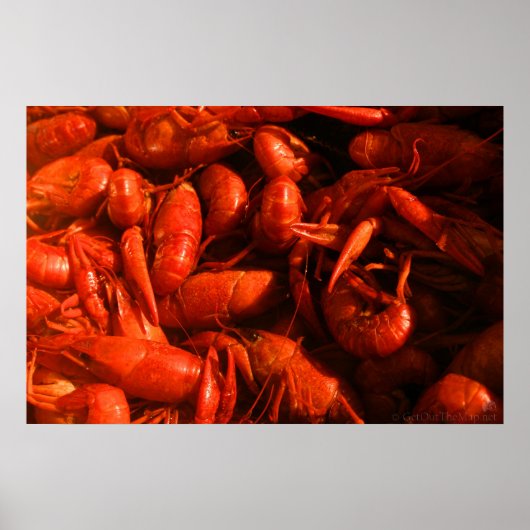 Crawfish print (Voorkant)
