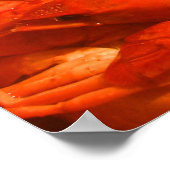 Crawfish print (Hoek)