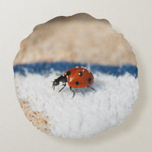 Crawling ladybug rond kussen