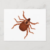 Crawly Realistic Illustration Briefkaart (Voorkant)