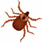 Crawly Realistic Illustration Fotobeeldje Magneet<br><div class="desc">Dit is een illustratie van een hondenvinkje. Een tik is een kleine bloedzuigende arachnide. Tikken houden van kampeerders. Het gebruik past knoop aan om een naam,  een bericht toe te voegen,  afbeelding te wijzigen,  of achtergrondkleur te veranderen.</div>