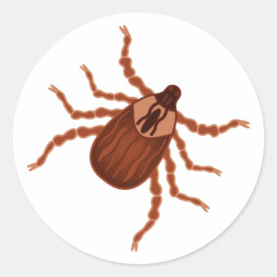 Crawly Realistic Illustration Ronde Sticker