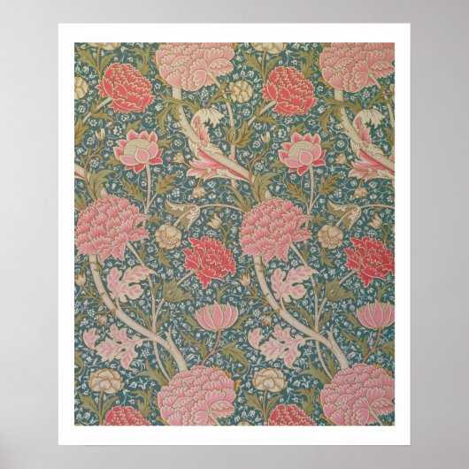 'Cray', 1884 Poster (Voorkant)