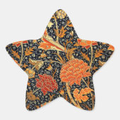 Cray, een prachtig William Morris-ontwerp. Ster Sticker (Voorkant)