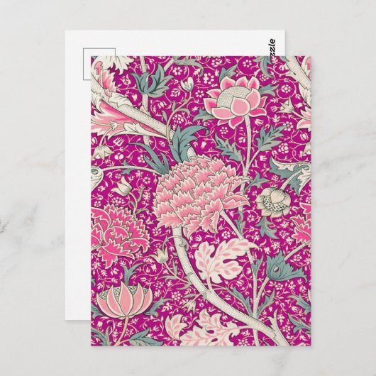 Cray in Pink Briefkaart (Voorkant / Achterkant)