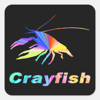 Crayfish-24 Vierkante Sticker