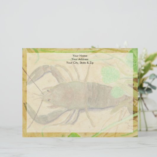 Crayfish Briefhoofd (Staand voorkant)