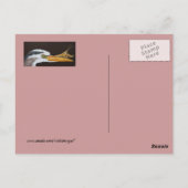 Crayfish leert briefkaart lekken (Achterkant)