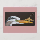 Crayfish leert briefkaart lekken (Voorkant)