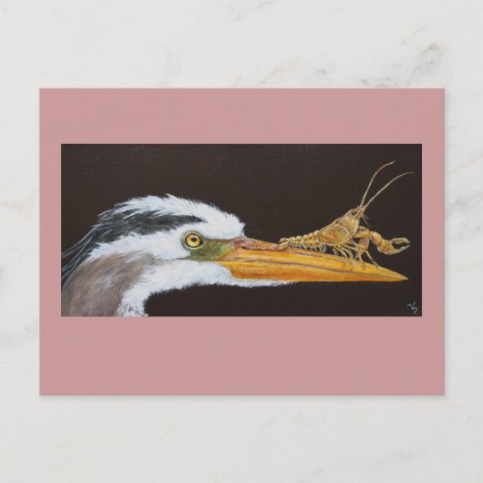 Crayfish leert briefkaart lekken (Voorkant)