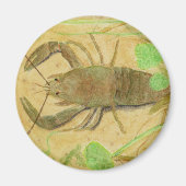 Crayfish Magneet (Voorkant)