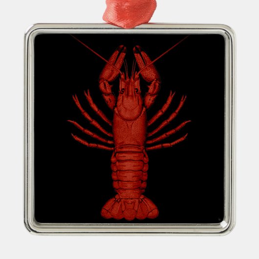 Crayfish Metalen Ornament (Voorkant)