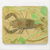 Crayfish Muismat (Voorkant)