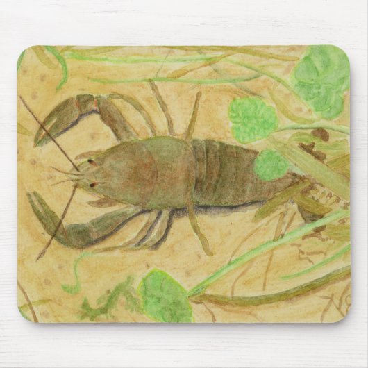 Crayfish Muismat (Voorkant)