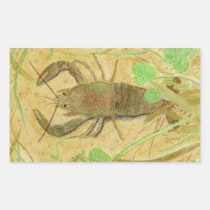 Crayfish Rechthoekige Sticker