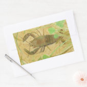 Crayfish Rechthoekige Sticker (Envelop)