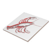 Crayfish Tegeltje (Zijkant)