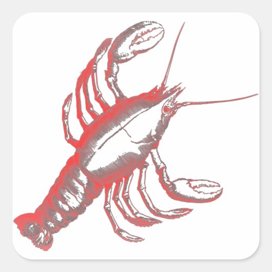 Crayfish Vierkante Sticker (Voorkant)