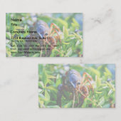 Crayfish Visitekaartje (Voorkant / Achterkant)
