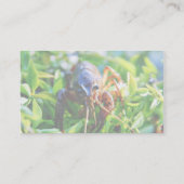 Crayfish Visitekaartje (Achterkant)