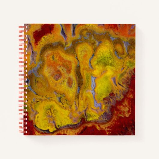 Crayola Jasper Notitieboek (Voorkant)