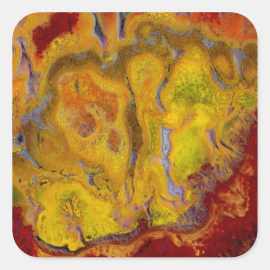 Crayola Jasper Vierkante Sticker (Voorkant)