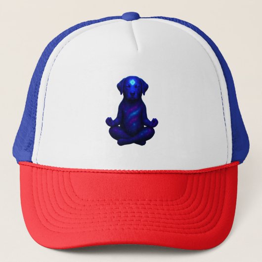 Crayon Chaos – Grappige Brussels Griffon Hond Meme Trucker Pet (Voorkant)