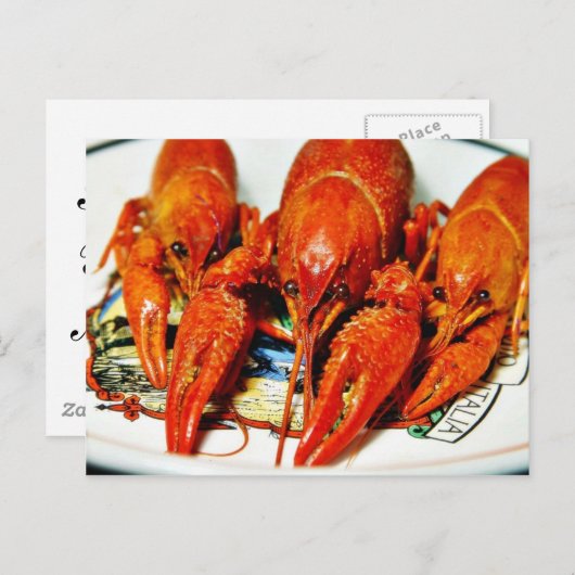 Craytfish Crawdads Briefkaart (Voorkant / Achterkant)