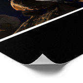 Crazy Assed Pilot Poster (Hoek)