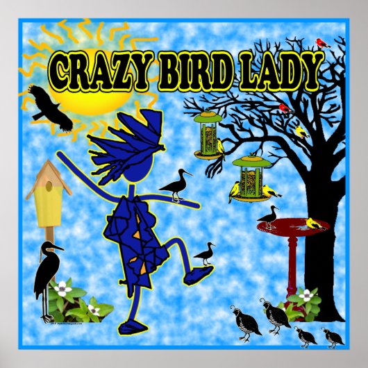 Crazy Bird Lady Design Poster (Voorkant)