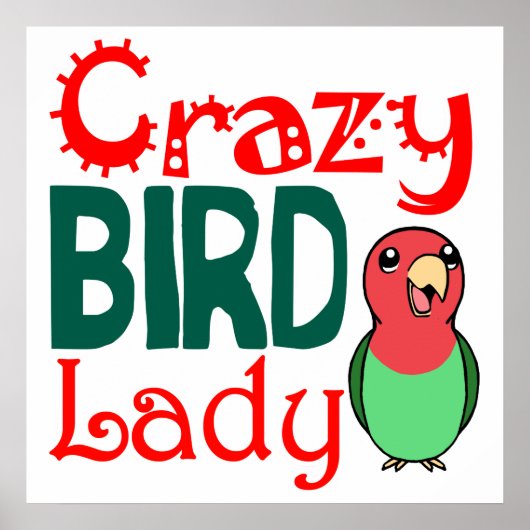 Crazy bird lady poster (Voorkant)