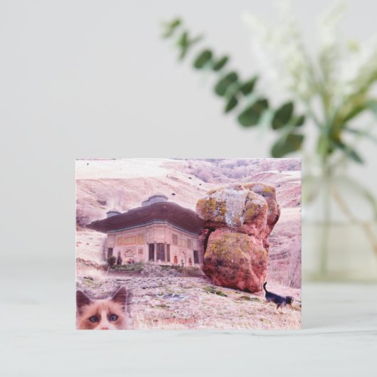 Crazy Briefkaart Dog Cat Funny Collage (Staand voorkant)