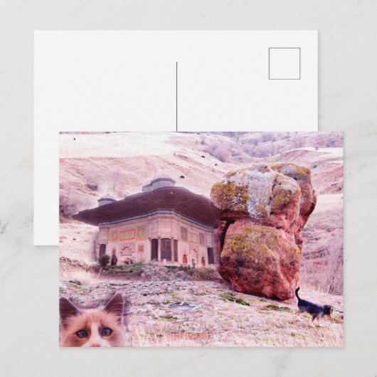 Crazy Briefkaart Dog Cat Funny Collage (Voorkant / Achterkant)