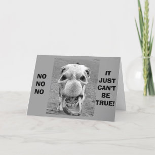 CRAZY CAMEL COMEDIAN ZEGT DAT JE NIET "40" KUNT ZI KAART