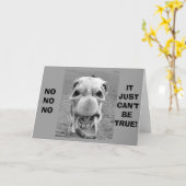 CRAZY CAMEL-KOMIEK ZEGT DAT JE GEEN '40' KUNT ZIJN KAART (Gele Bloem)