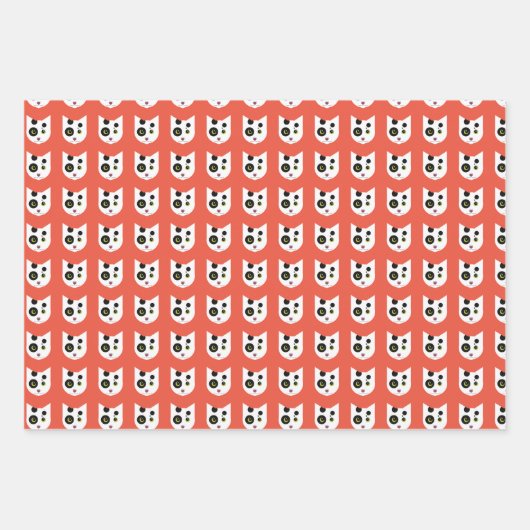 Crazy Cat Bundle Inpakpapier Vel (Voorkant 3)