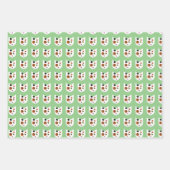 Crazy Cat Bundle Inpakpapier Vel (Voorkant)