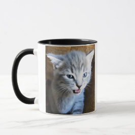 Crazy Cat Dude. Cat Humor. Cat Coffee Mug. Mok
