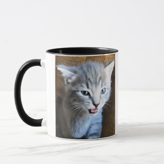 Crazy Cat Dude. Cat Humor. Cat Coffee Mug. Mok (Links)