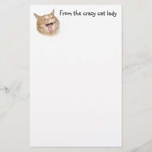 Crazy cat lady briefpapier (Voorkant)