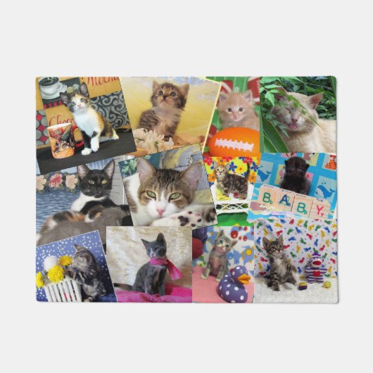 Crazy Cat Lady Doormat (18 x 24) Deurmat (Voorkant)