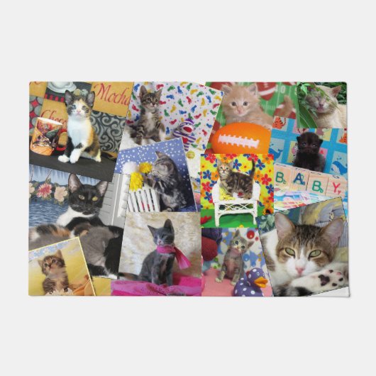 Crazy Cat Lady Doormat (24 x 36) Deurmat (Voorkant)
