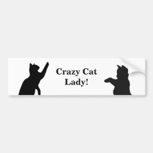CRAZY CAT LADY Fun Quote for Cat Lovers Bumpersticker
