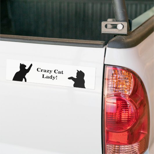 CRAZY CAT LADY Fun Quote voor kattenliefhebbers Bumpersticker (Op Truck)