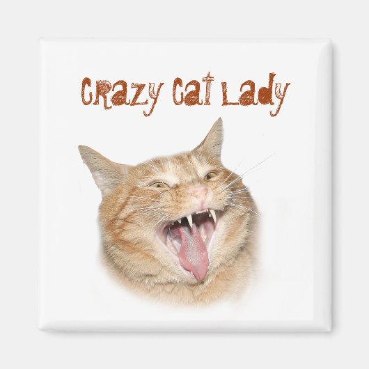 Crazy Cat Lady Magneet (Voorkant)
