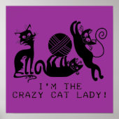 Crazy Cat Lady Poster (Voorkant)