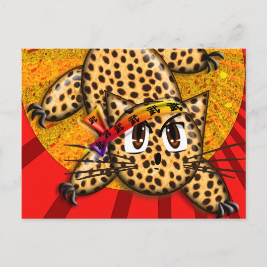 Crazy Cat Lady Ultra Schattigee Anime Rainbow Hoof Briefkaart (Voorkant)